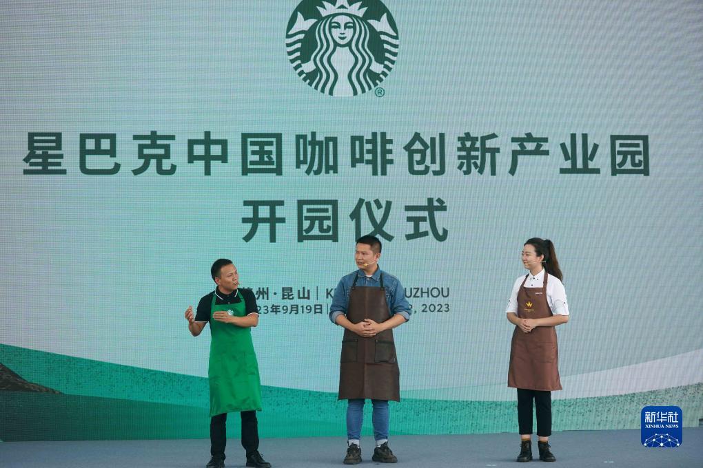 千炮打鲨鱼